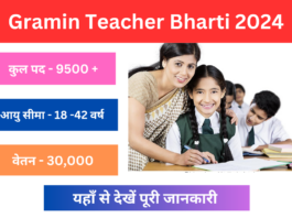 Gramin Teacher Bharti 2024