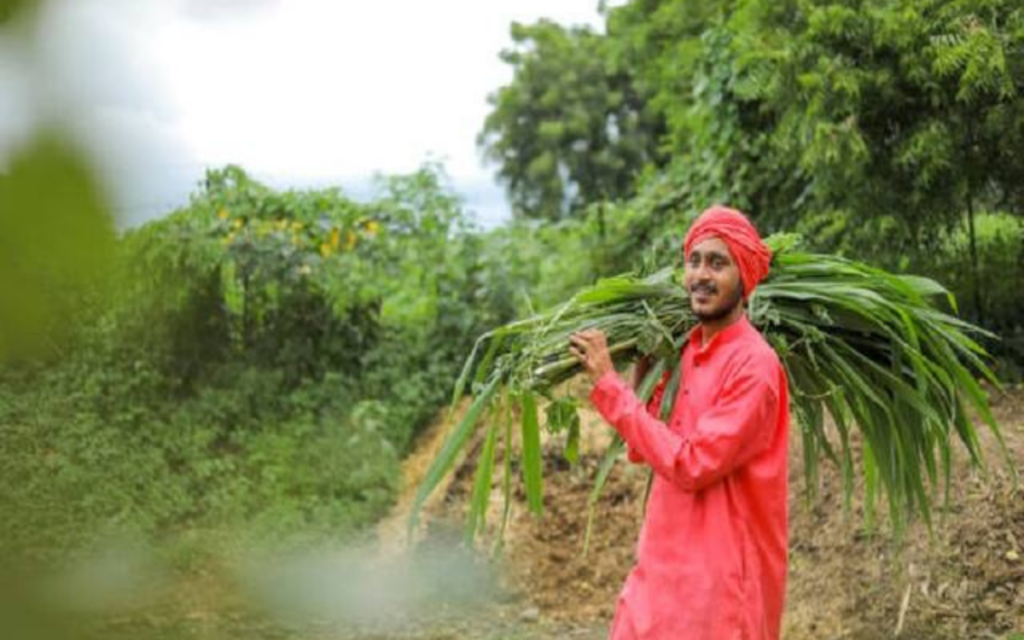 Haryana Farmer Scheme 2024