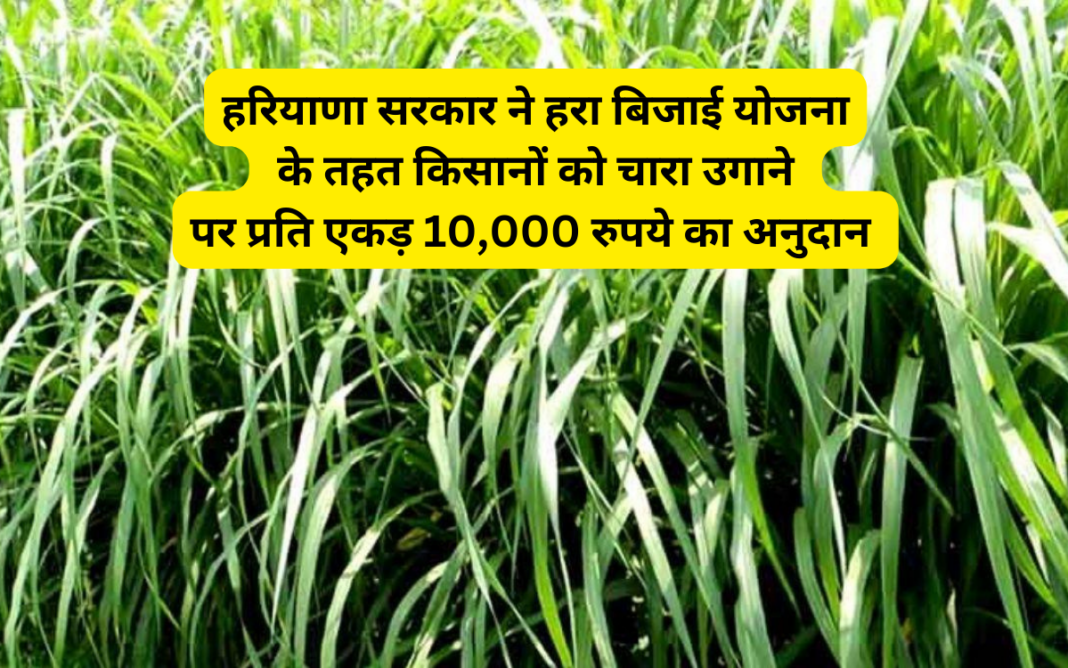 Haryana Farmer Scheme 2024