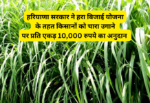 Haryana Farmer Scheme 2024