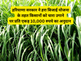 Haryana Farmer Scheme 2024