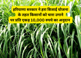 Haryana Farmer Scheme 2024