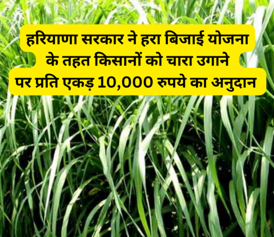 Haryana Farmer Scheme 2024