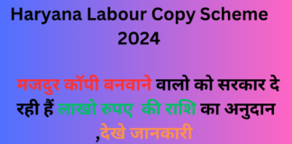 Haryana Labour Copy Scheme 2024