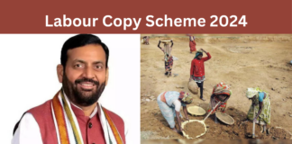 Labour Copy Scheme 2024