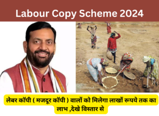 Labour Copy Scheme 2024