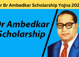 Dr Br Ambedkar Scholarship Yojna 2024