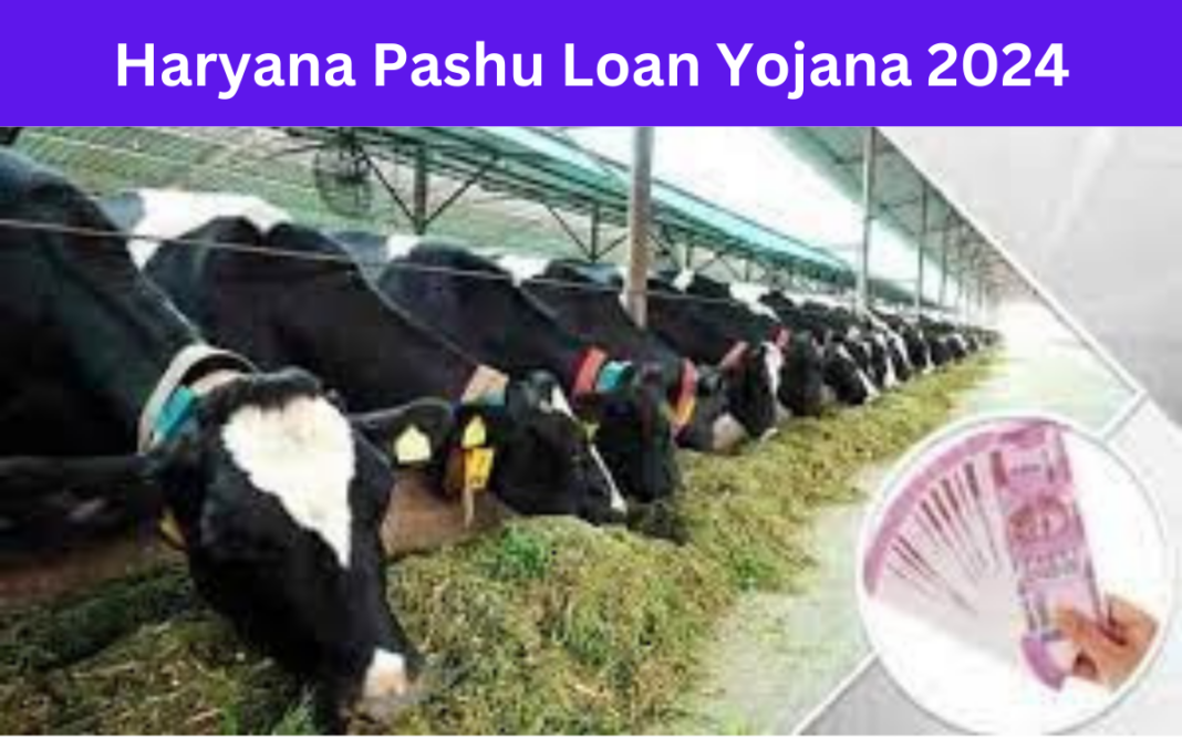 Haryana Pashu Loan Yojana 2024