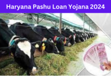 Haryana Pashu Loan Yojana 2024