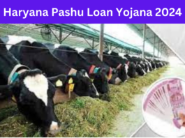 Haryana Pashu Loan Yojana 2024