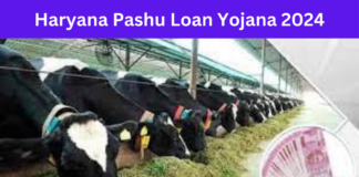 Haryana Pashu Loan Yojana 2024