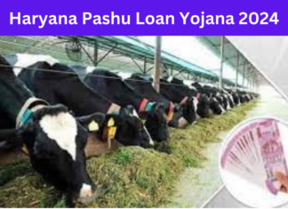 Haryana Pashu Loan Yojana 2024