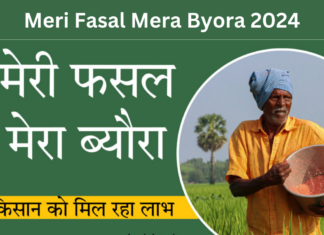 Meri Fasal Mera Byora 2024