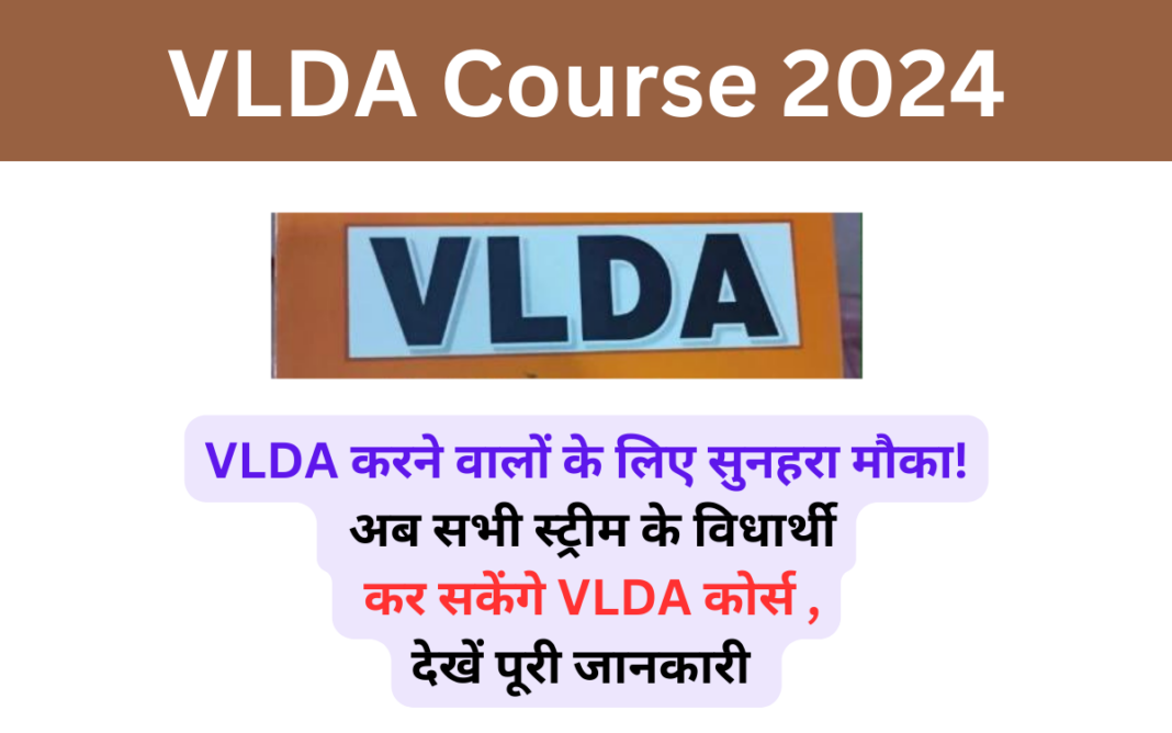 VLDA Course 2024