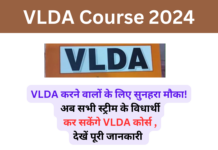 VLDA Course 2024