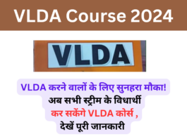 VLDA Course 2024