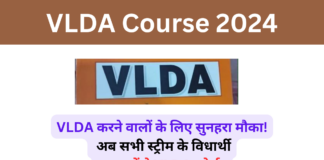 VLDA Course 2024