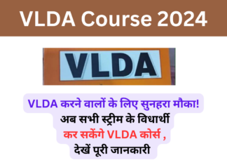 VLDA Course 2024